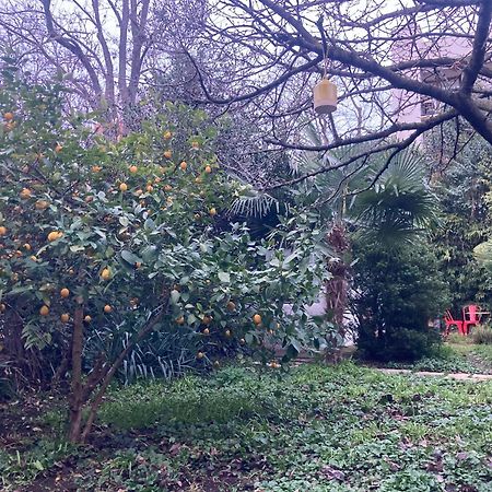 Un Jardin En Ville Toulouse Extérieur photo