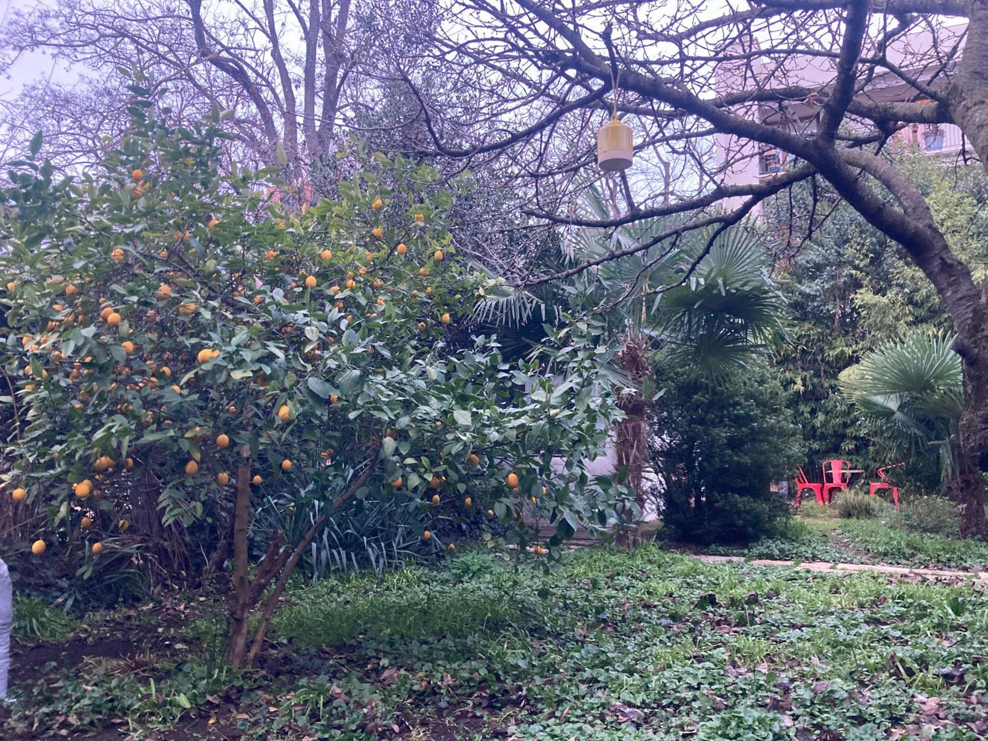Un Jardin En Ville Toulouse Extérieur photo